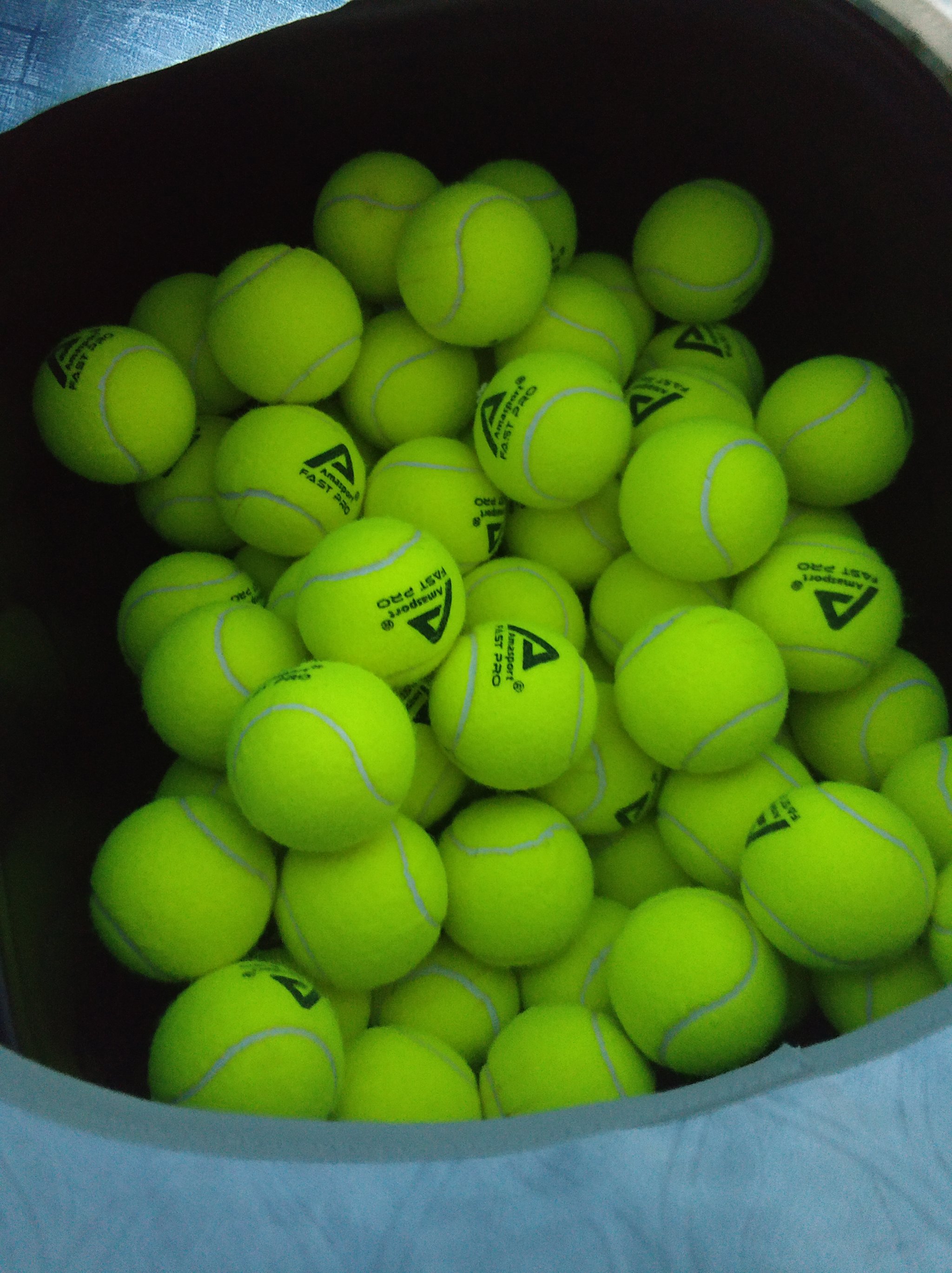 整个体育场 整个体育场